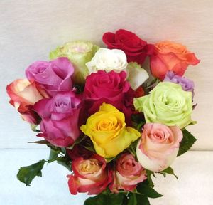 ROSE VARIE BOTTE EQUATEUR 40